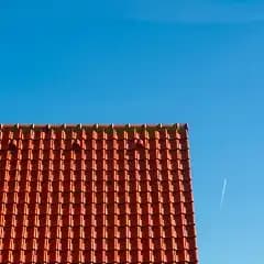 Google business profile image.